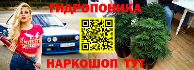 jwh Берёзовский