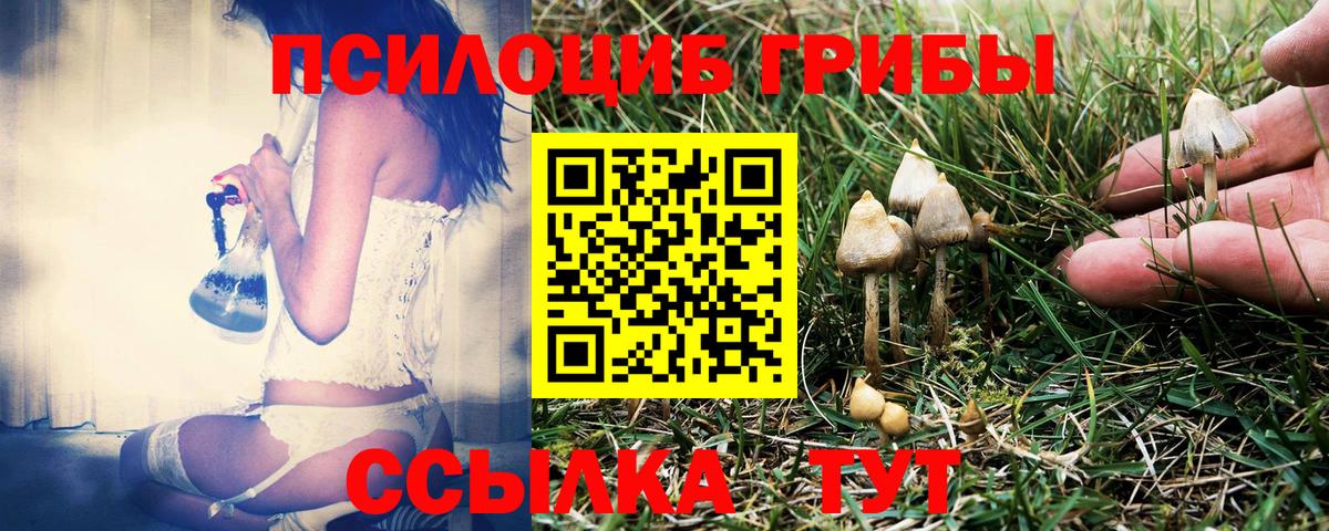 Галлюциногенные грибы мицелий Ишимбай