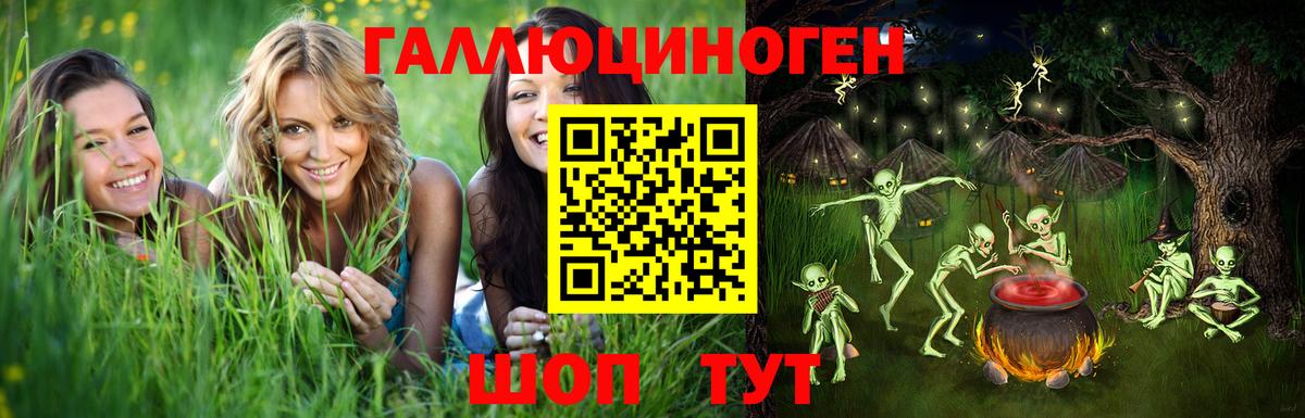 Галлюциногенные грибы Psilocybe  Вход с VPN  Ишимбай 
